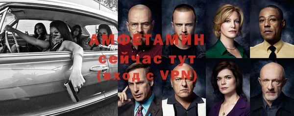молекула духа Болхов